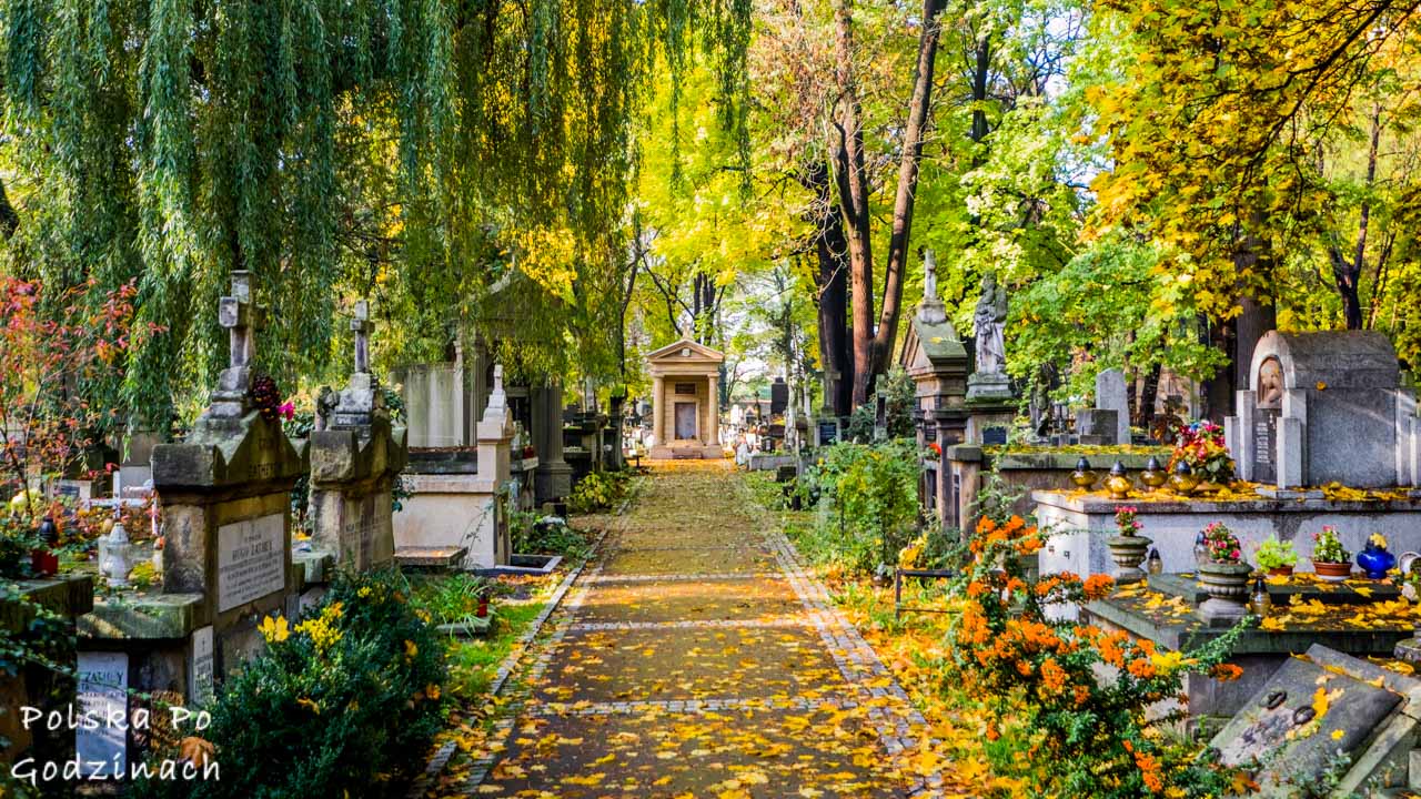 Cmentarz Rakowicki w Krakowie jesienią