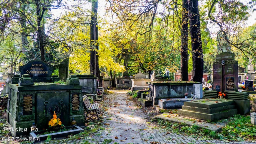 Rakowicki Cemetery in Kraków