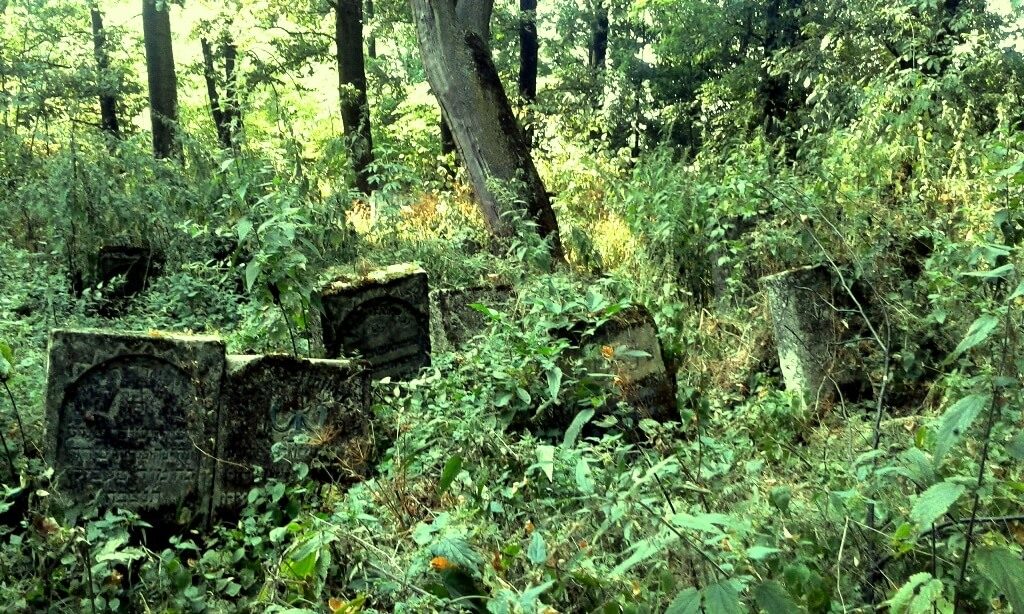 Szczebrzeszyn kirkut cmentarz żydowski