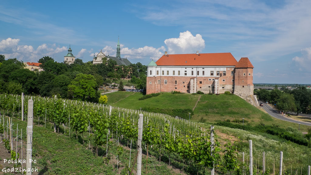 Atrakcje które warto zobaczyć w Sandomierzu - zamek królewski na wzgórzu
