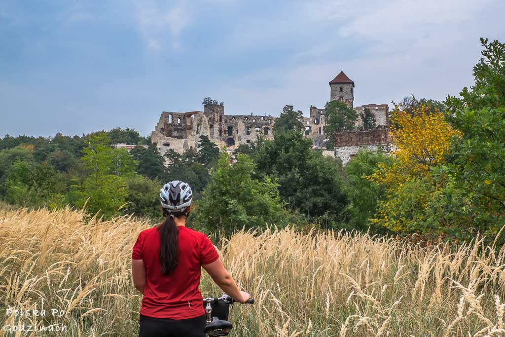 widok na zamek na trasie rowerowej z Krakowa do Tenczyna