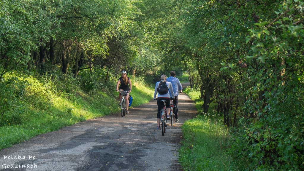 trasa rowerowa wsród drzew na Zakrzówek w Krakowie