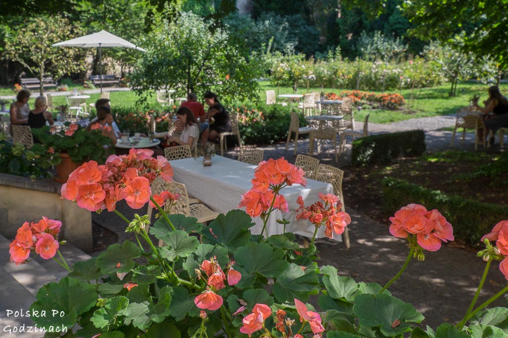 goście przy stolikach i ukwiecony ogród Meho Cafe