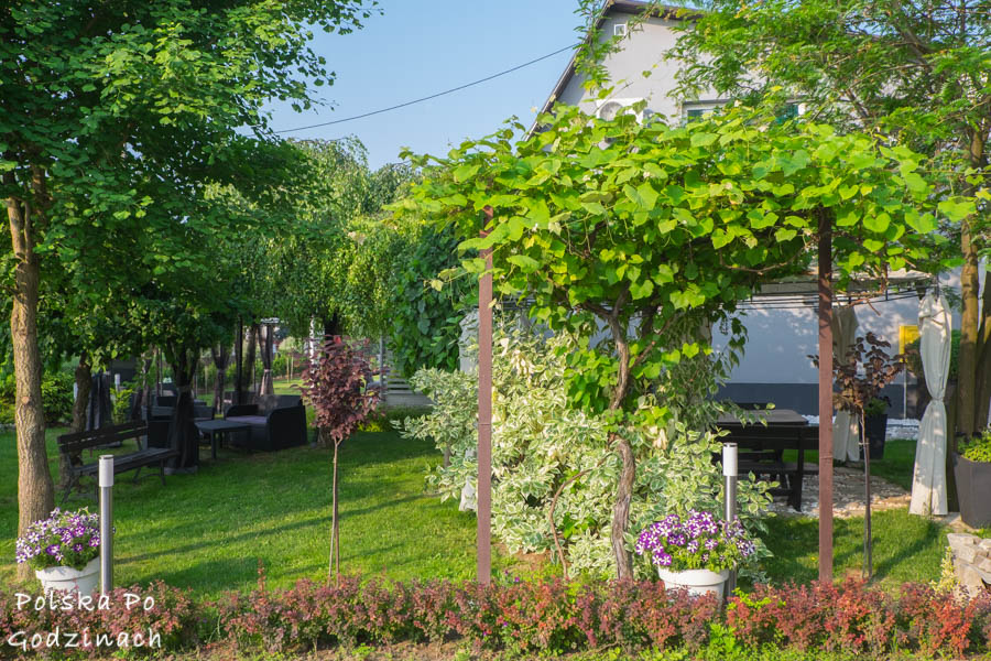 Zielony i ukwiecony ogród naszego sandomierskiego pensjonatu.