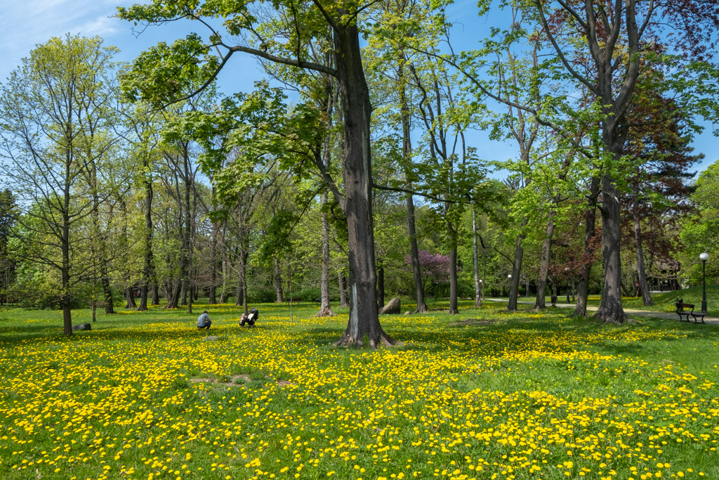 zielony i ukwiecony Park Źródliska w Łodzi to ciekawe miejsce na odpoczynek przy zwiedzaniu miasta