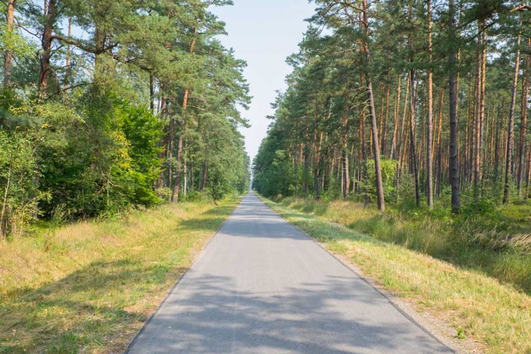 Las Roztocze Co warto zobaczyć na Roztoczu, czyli 20 miejsc i atrakcji Roztocza.