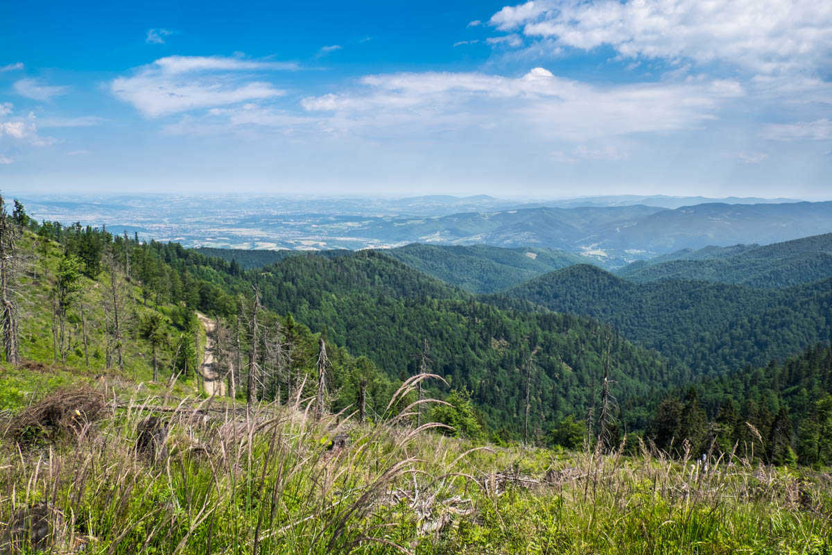 Beskid Sądecki. Na szlaku na Radziejową.