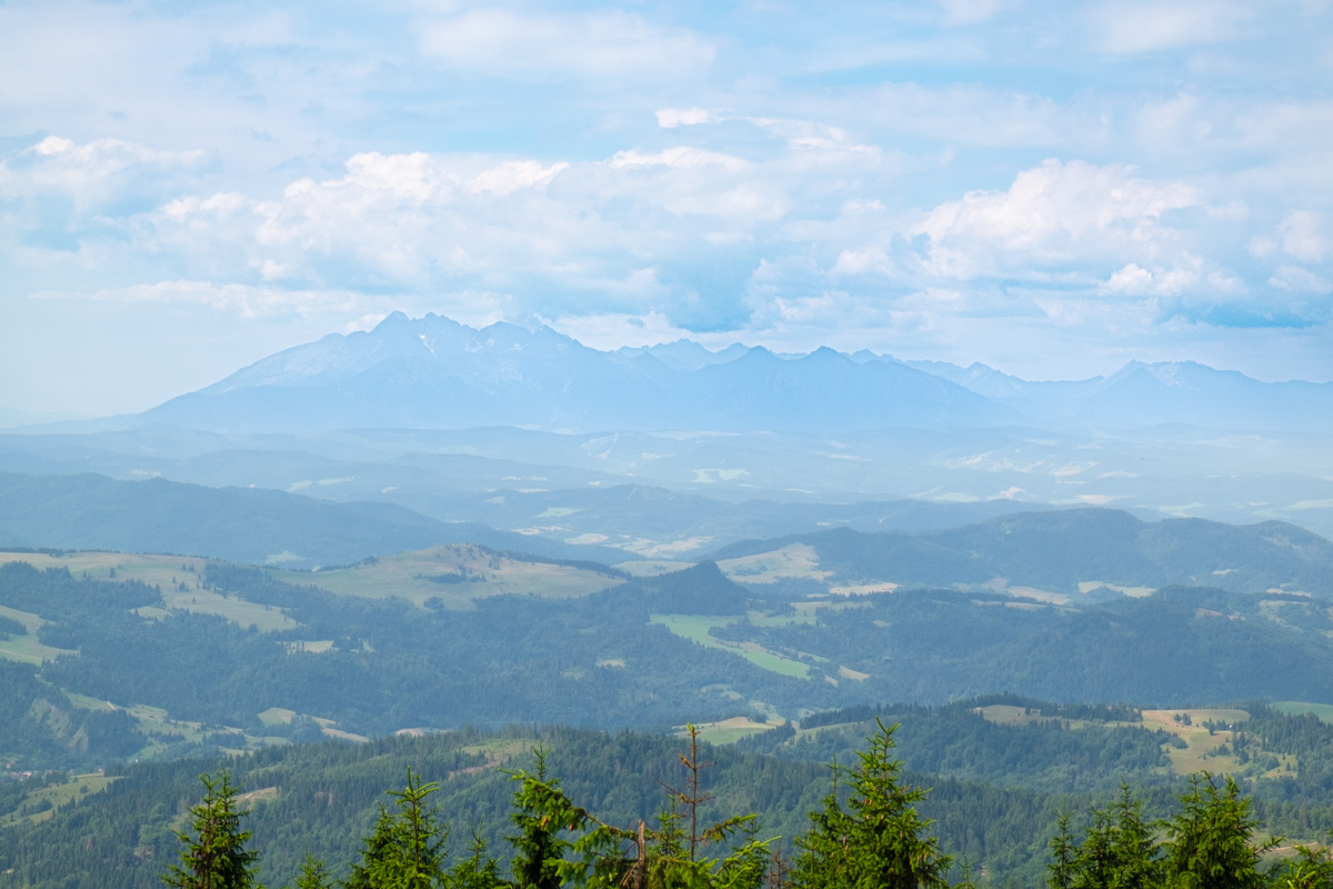 Widok na Tatry z wieży na Radziejowej w Beskidzie Sądeckim.
