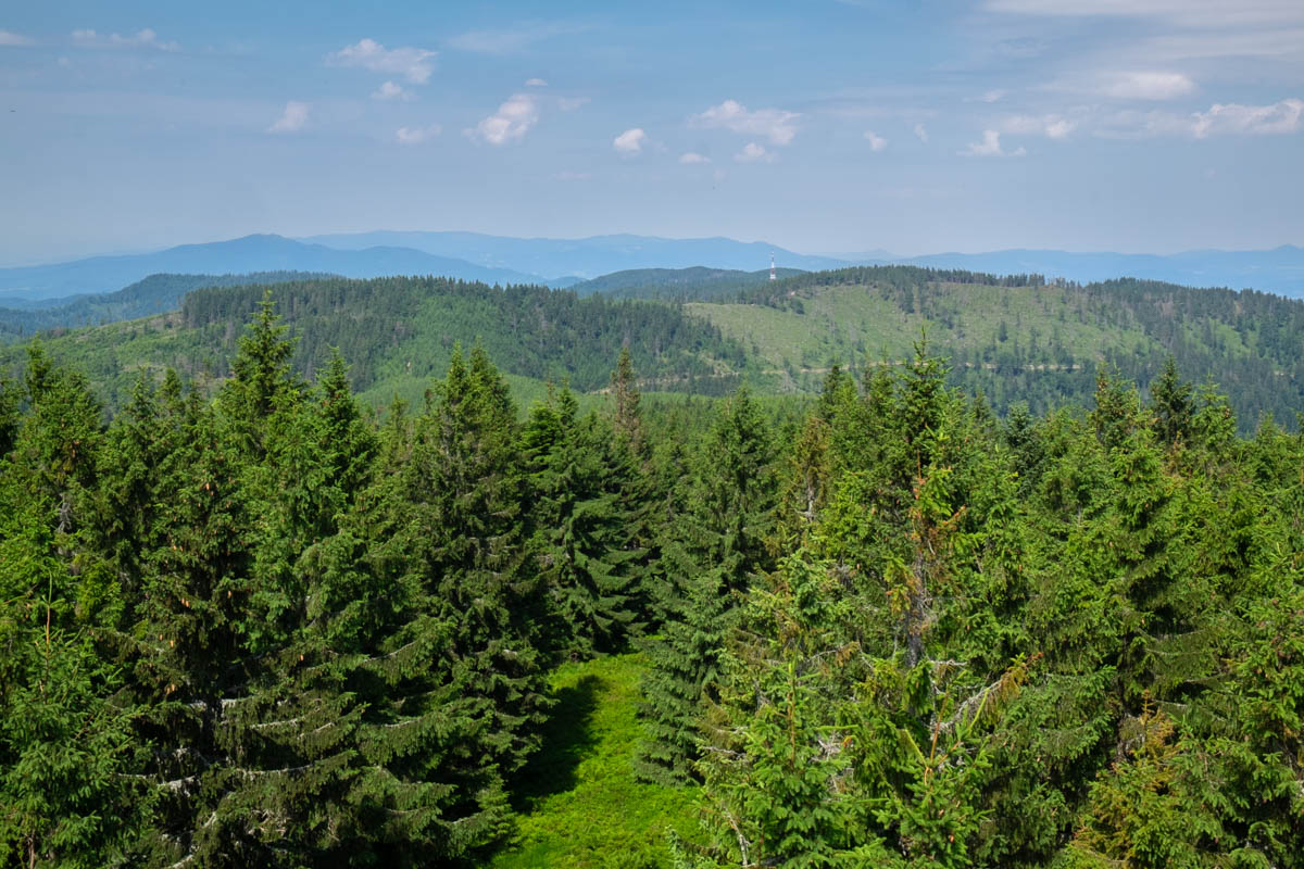 Widok na Beskid Sądecki. Widać nadajnik koło Schroniska PTTK Przehyba.