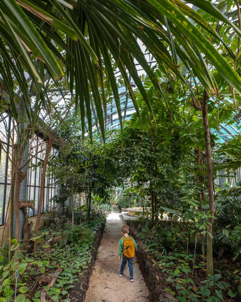 Wnętrze szklarni w ogrodzie botanicznym w Katanii.