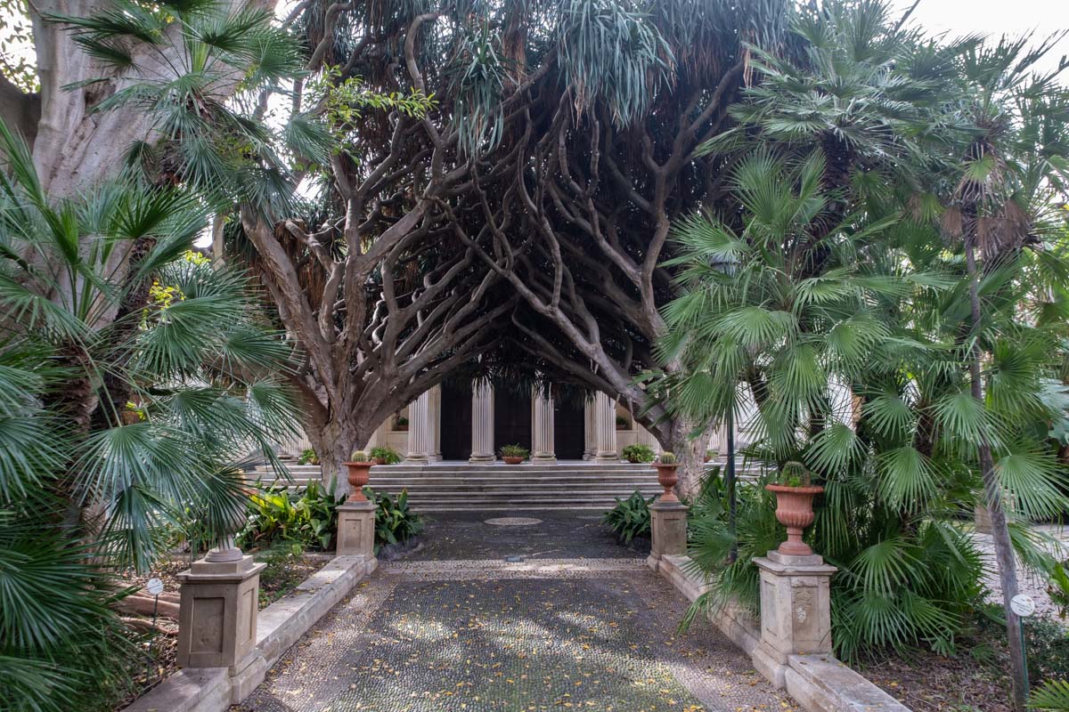 Ogród botaniczny w Katatnii.