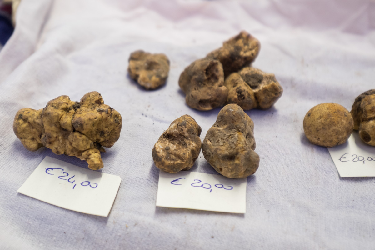 Trufle na targu spożywyczym w Modenie.