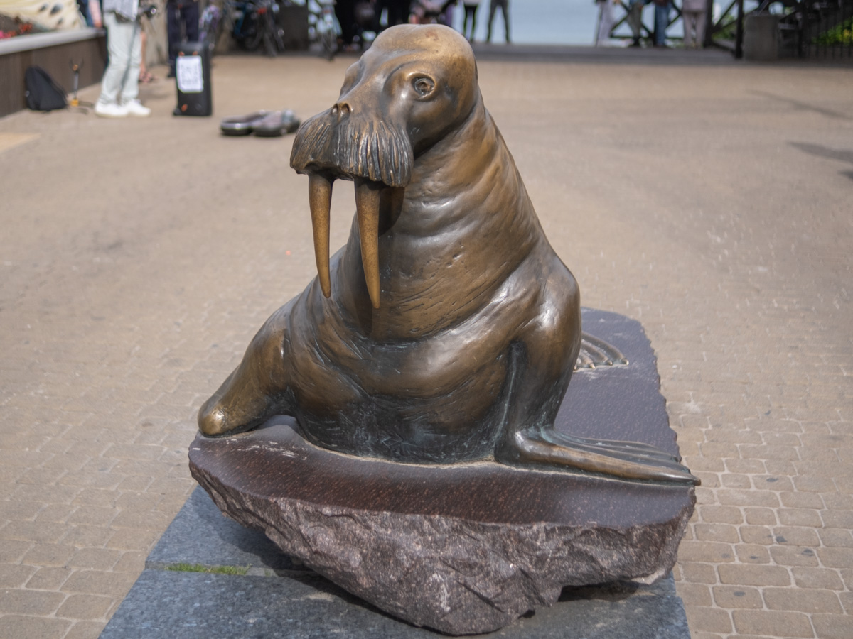 Pomnik Morsa przy głównym wejściu na plażę w Mielnie.