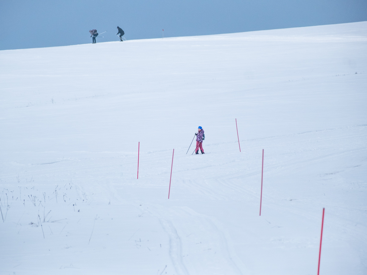 Trasa do nart biegowych w Krzywej w Beskidzie Niskim.